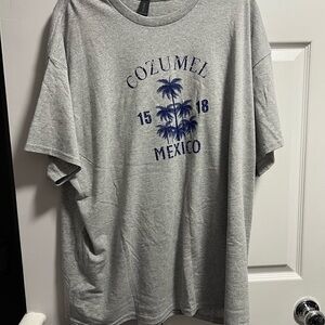 Gildan Gray Cozumel Graphic Tee